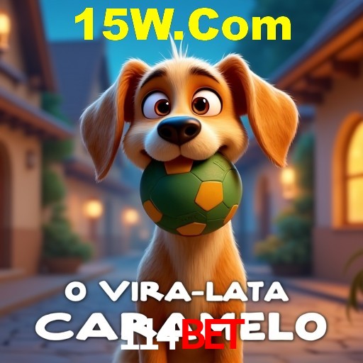 Descubra a Essência do 114Bet: Nossa História e Compromissos